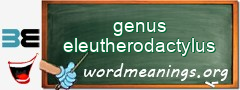 WordMeaning blackboard for genus eleutherodactylus
